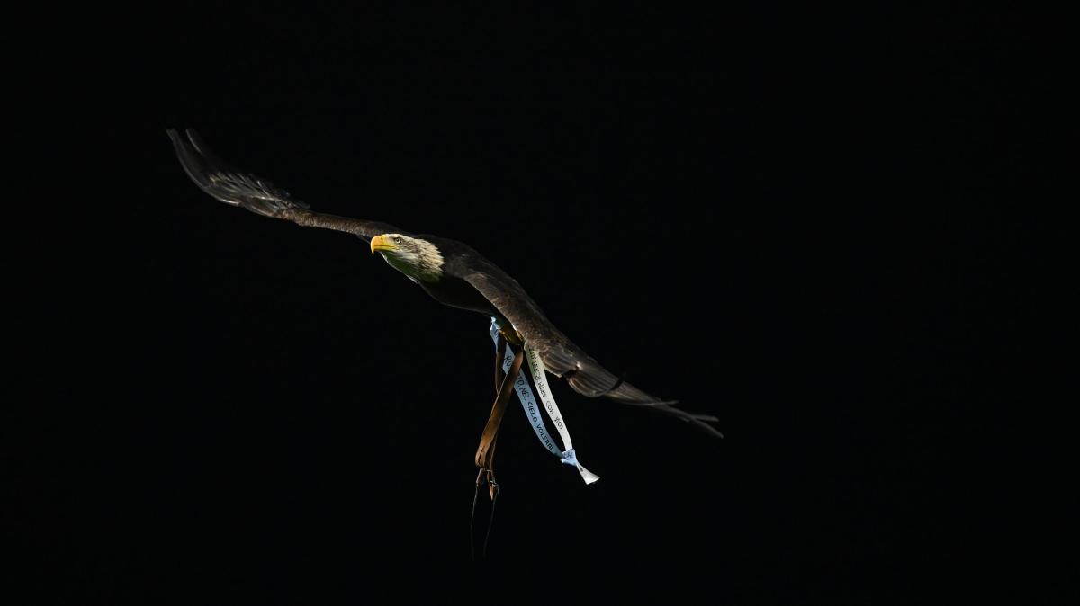 Lazio, 49 anni fa ci lasciava Re Cecconi: il ricordo della società - FT