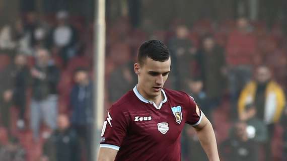 Salernitana, la società pensa a un mercato da A: fuori Dziczek e dentro Murgia?