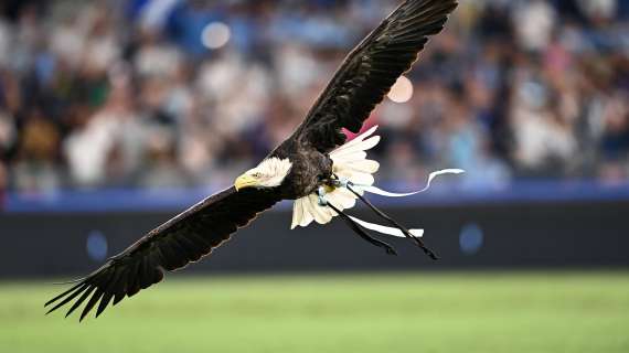 Caso Bernabè, parla il falconiere dell'Eintracht: "Non è un bene per la categoria"