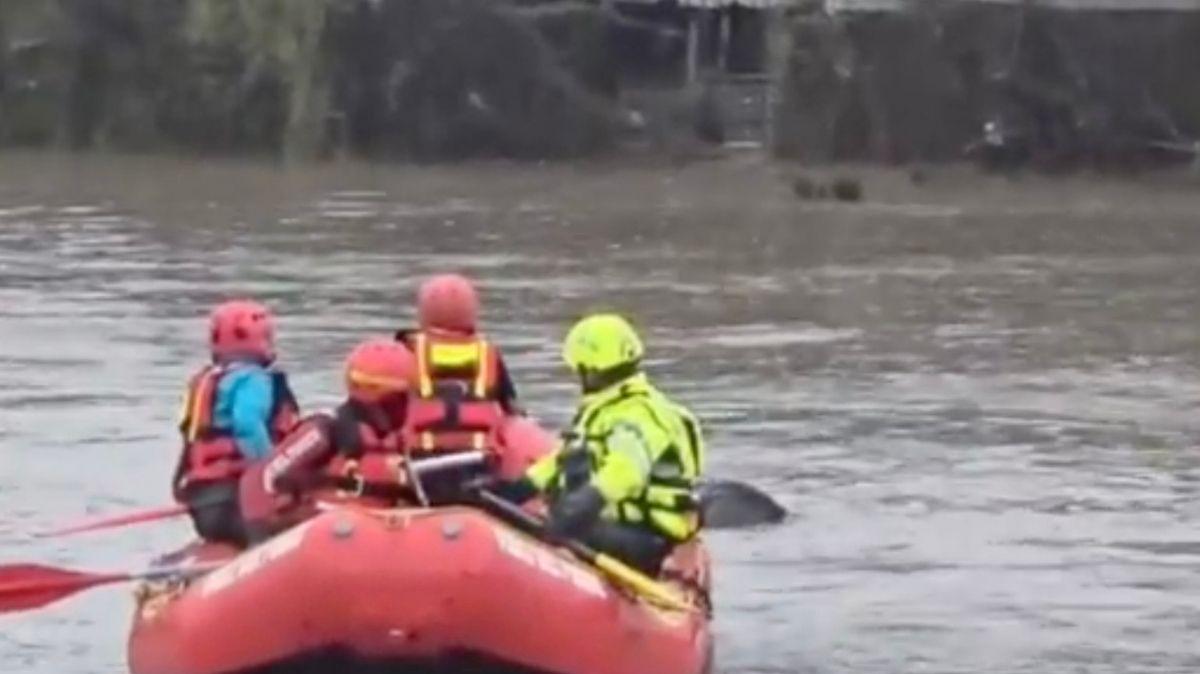NEWS | Roma: il salvataggio di uno struzzo dopo la piena dell'Aniene - VD