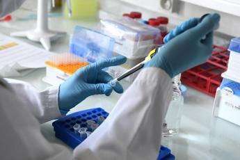 Vaiolo delle scimmie, primo caso in Italia: cosa sappiamo sul virus