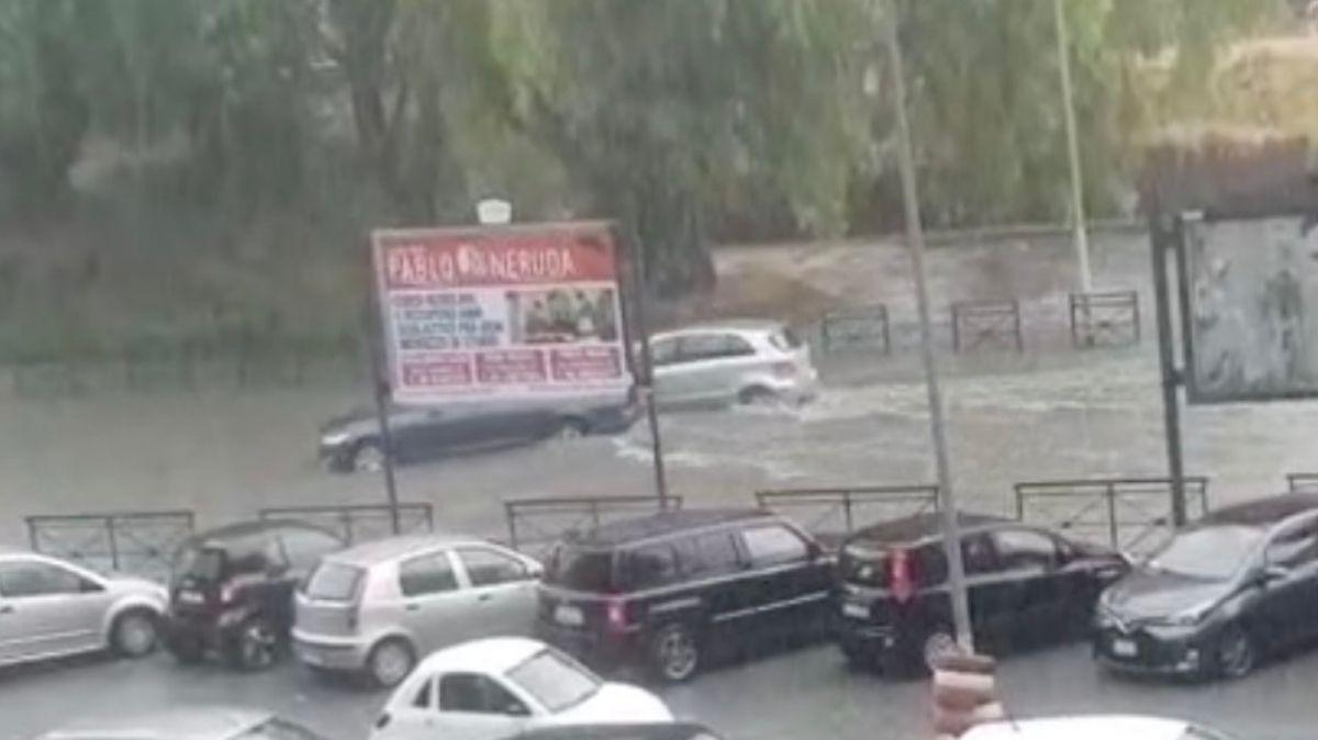 NEWS | Roma, tromba d'aria a Conca d'Oro: alberi sradicati - VD