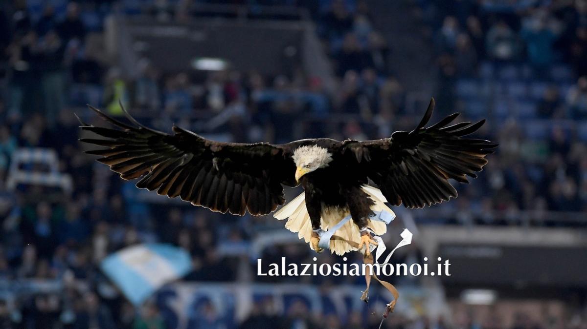 Lazio, il primo volo di Flaminia e l'emozione del falconiere: il post social 