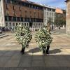 Immagine news 5
