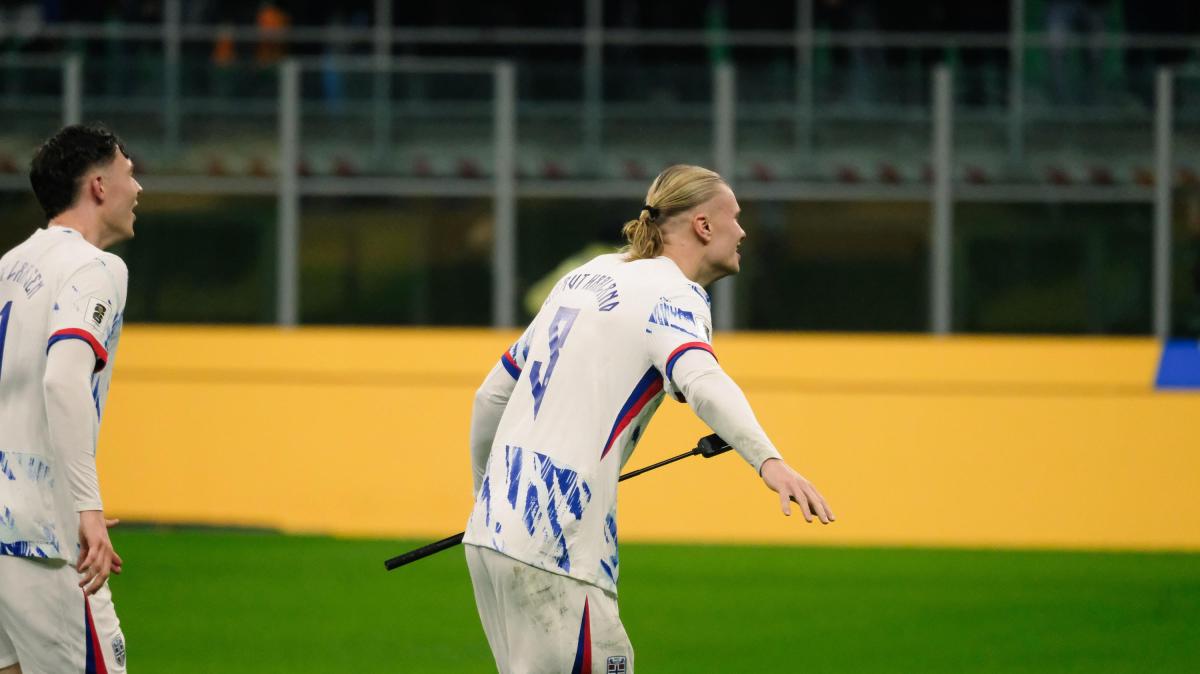 Immagine strip News n.1