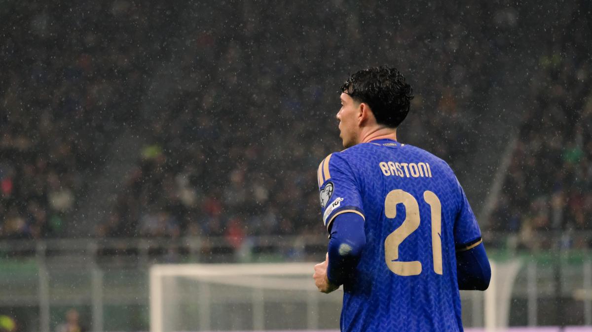 Immagine strip Primo piano n.2