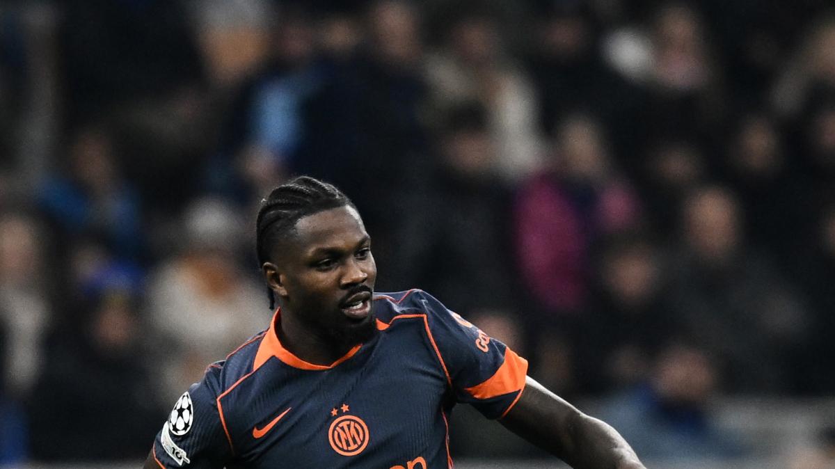 Immagine strip Primo piano n.2