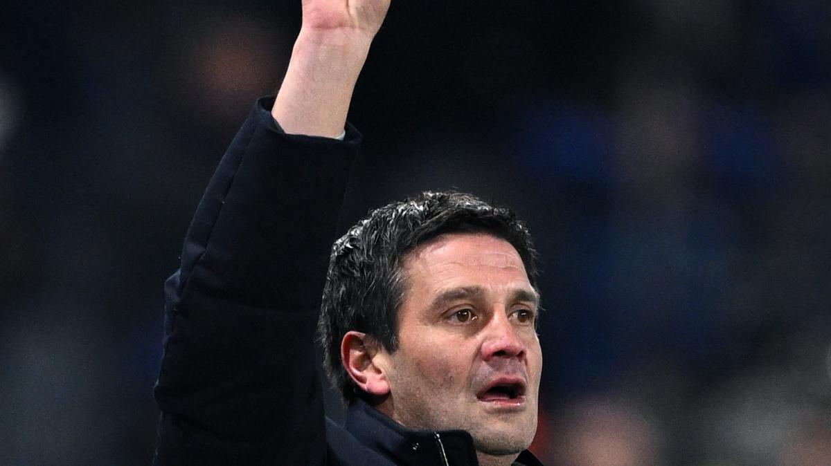 Immagine strip Primo piano n.3