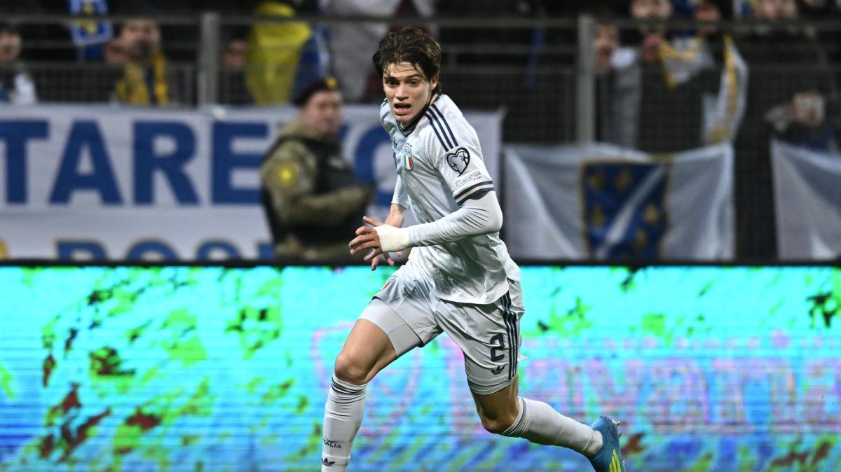 Immagine strip News n.1