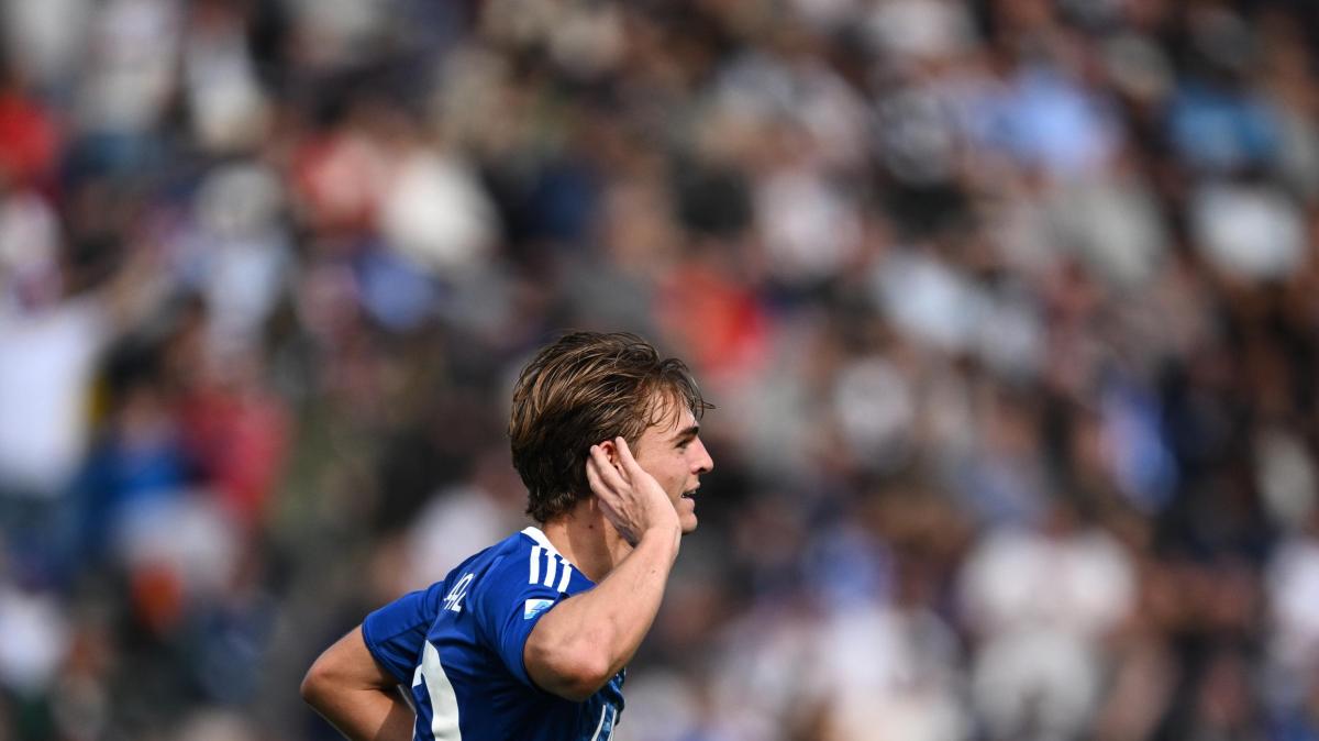 Immagine strip News n.1