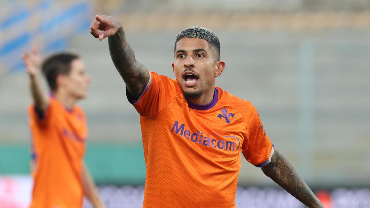 Immagine strip Primo piano n.2