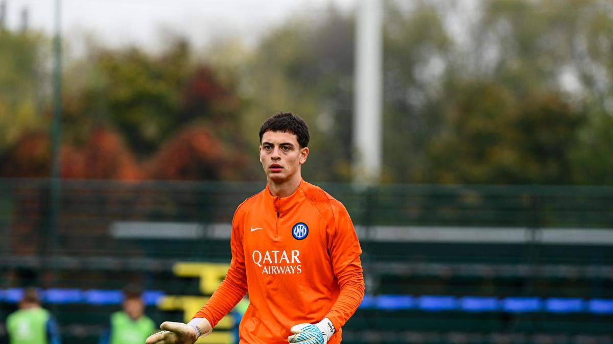 Immagine strip Primo piano n.2