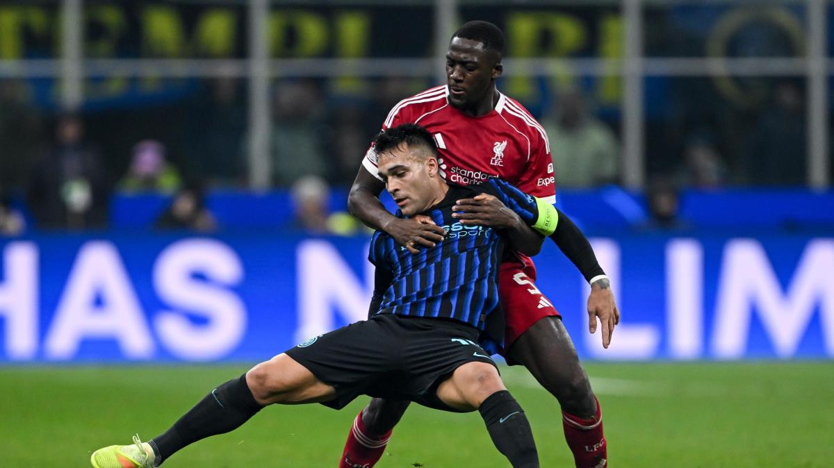 Immagine strip Primo piano n.2