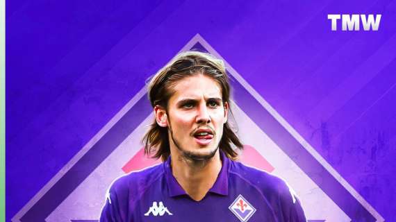 Ufficiale, fra le tanti corteggiatrici Colpani ha scelto la Fiorentina. Le cifre