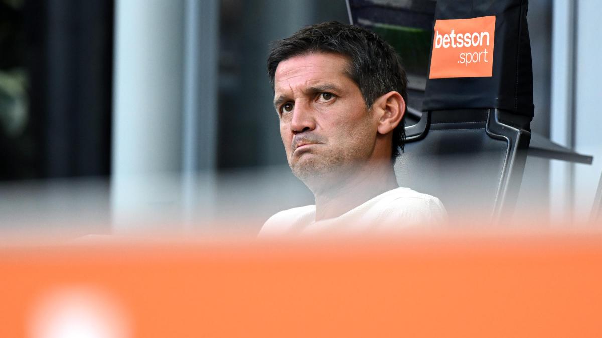 Chivu: "Allegri può insegnare, Ausilio per me un amico"