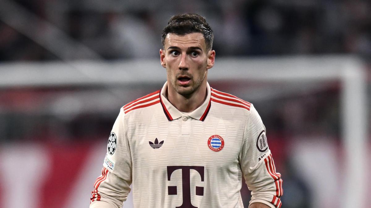 Stankovic e Goretzka: gli ingredienti della nuova ricetta che potrebbe proporre l'Inter