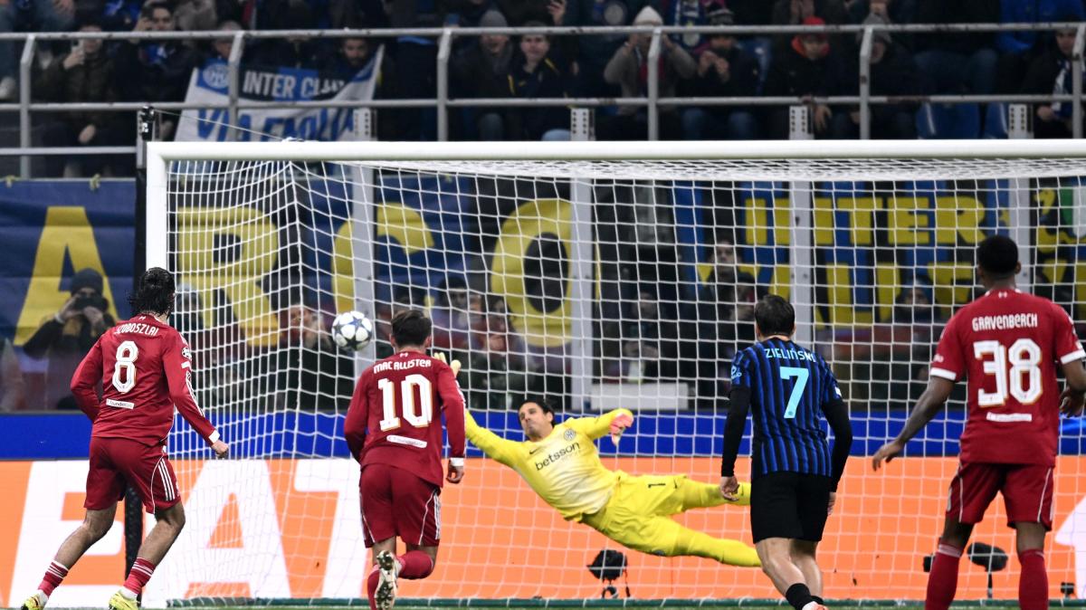 Immagine strip News n.1