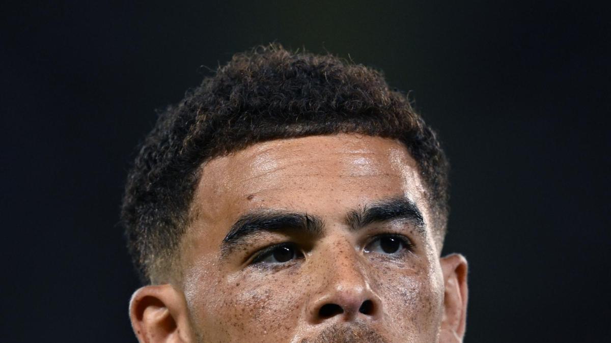 Torino, Che Adams: "Vogliamo rendergli la vita complicata anche se stanno..."