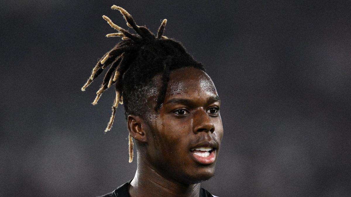 Immagine strip Primo piano n.1