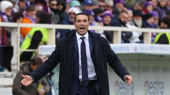 Fiorentina, Palladino: "Vittoria più bella da quando alleno in Serie A, tutto perfetto"