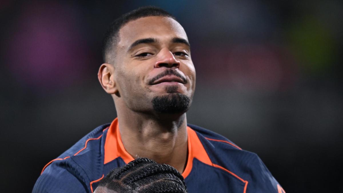 Immagine strip Primo piano n.1