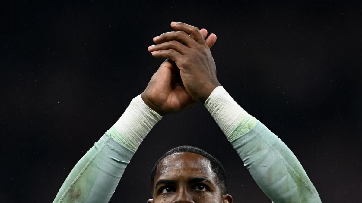 Immagine strip News n.1