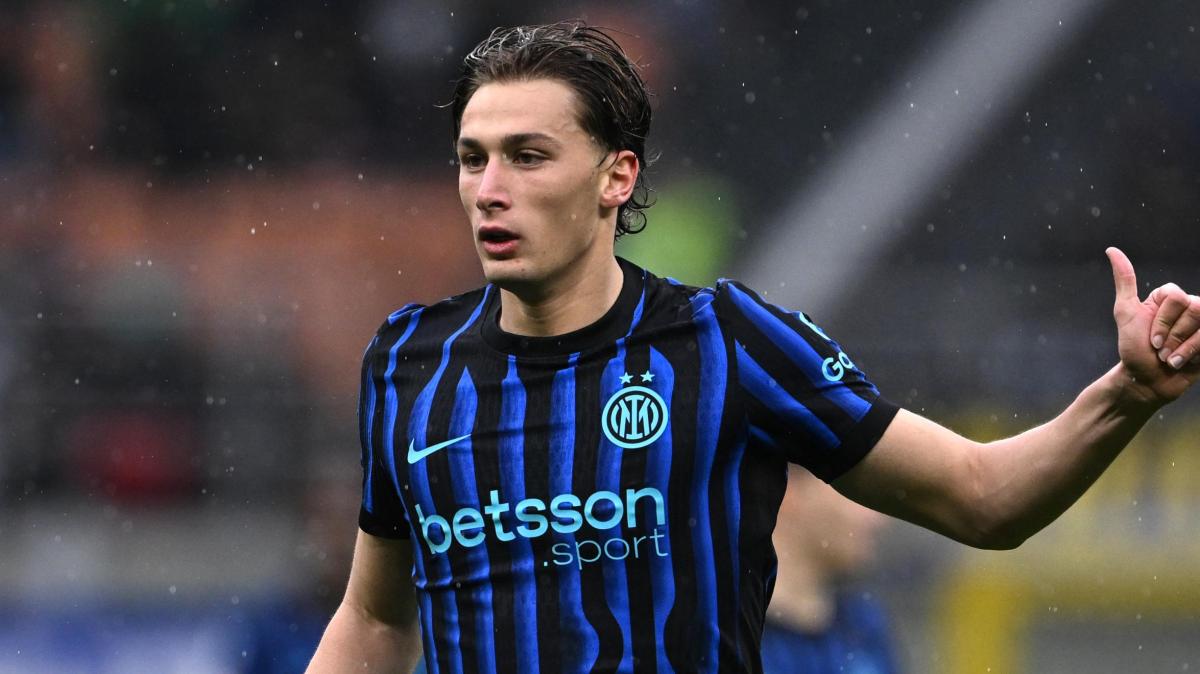 Immagine strip Primo piano n.1