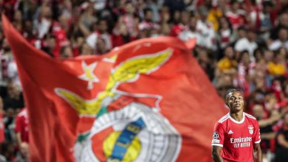 Champions: qualificate Benfica, Maccabi Haifa e Viktoria Plzen