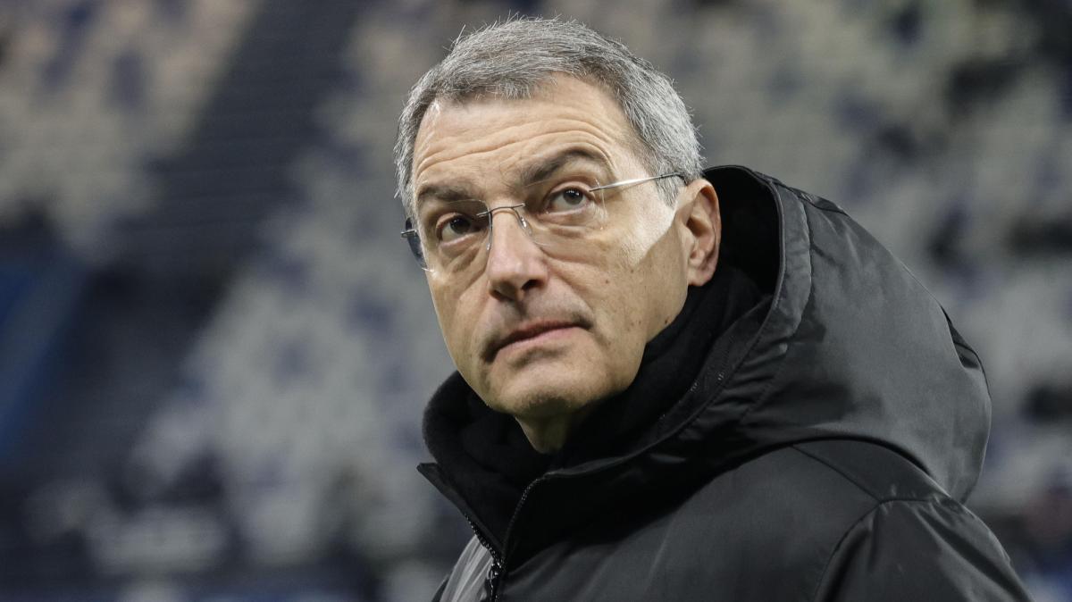 Comolli squalificato fino al 31/3: "Cercava contatto fisico con La Penna". Chiellini inibito 10 giorni