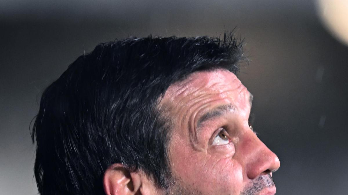 TS conferma la nostra indiscrezione: L'Inter pronta a rinnovare Chivu, i dettagli