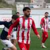 1^-Riviera Nord, scelto il nuovo direttore sportivo: incarico a Giuseppe Buda