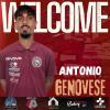 Genovese torna alla Rosmarino. Castrovinci: "Innesto importantissimo"