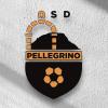 3^-Rinasce il Pellegrino: ufficializzati staff dirigenziale e 14 giocatori