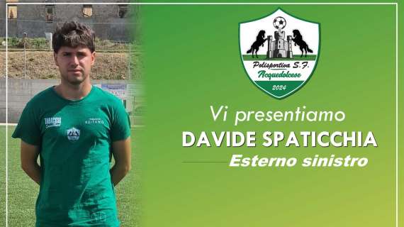 Davide Spaticchia