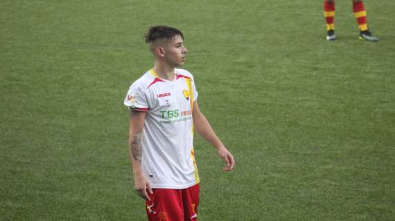 Niko Fogliani