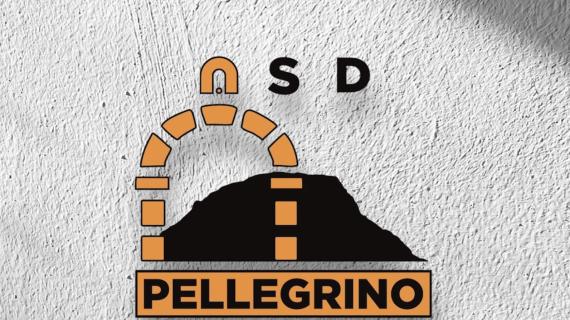 3^-Rinasce il Pellegrino: ufficializzati staff dirigenziale e 14 giocatori