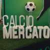 Immagine news 11