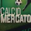Immagine news 11