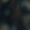 Immagine news 10