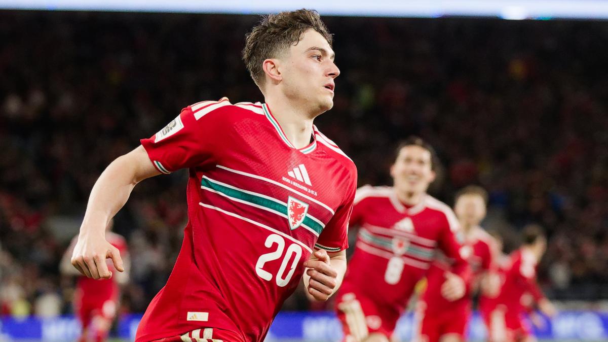 Dzeko a 40 anni segna il gol del pari in Galles all'86esimo. Ora sfiderà l'Italia