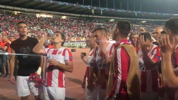 Lancio di bottiglie in Stella Rossa-Midtjylland, finisce in ospedale l'assistente di Stankovic