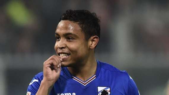 TMW - Fiorentina, le cifre per Muriel. Riscatto morale con l'Europa