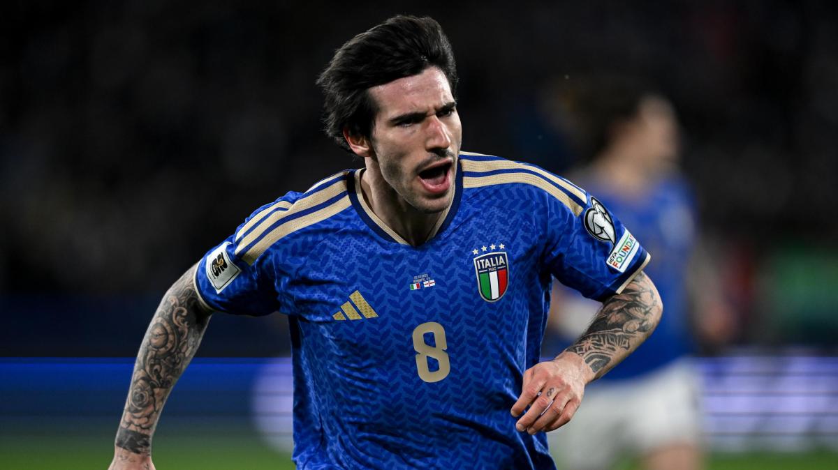 Immagine strip Primo Piano n.1