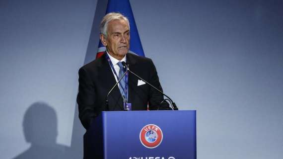 Gravina: "Mancini? Auspichiamo progetto vada avanti"