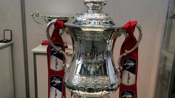 Il Crystal Palace vince la sua prima FA Cup e giocherà in Europa League l'anno prossimo