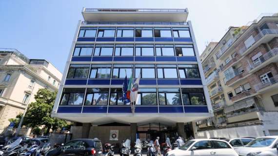 Ricavi in aumento nei conti della Figc: l'azzurro piace sempre