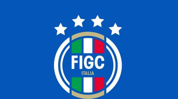 Figc, svelato il nuovo logo istituzionale ideato da Publicis Groupe