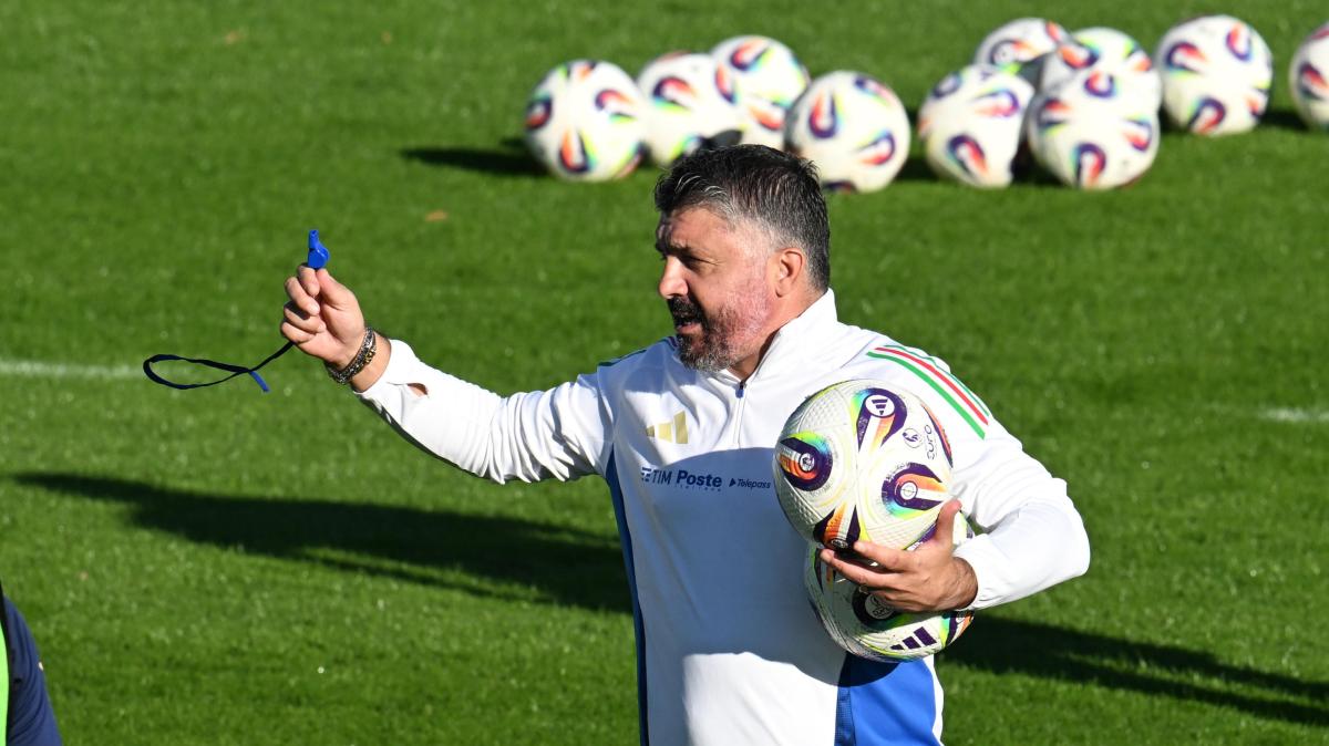 Signori: “Camarda e Pio esposito sono il futuro, io punterei su di loro. Su Gattuso…”