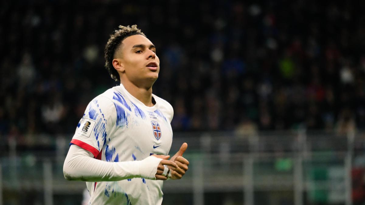 Bergonzini presenta Nusa: "Profilo di talento, ma le domande sorgono osservando le sue caratteristiche"