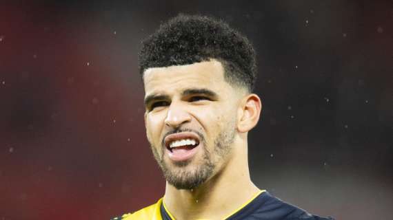 Il Tottenham prende Solanke dal Bournemouth per 80 milioni